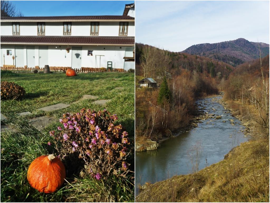 Ferma De Sub Penteleu Villa Varlaam  Kültér fotó